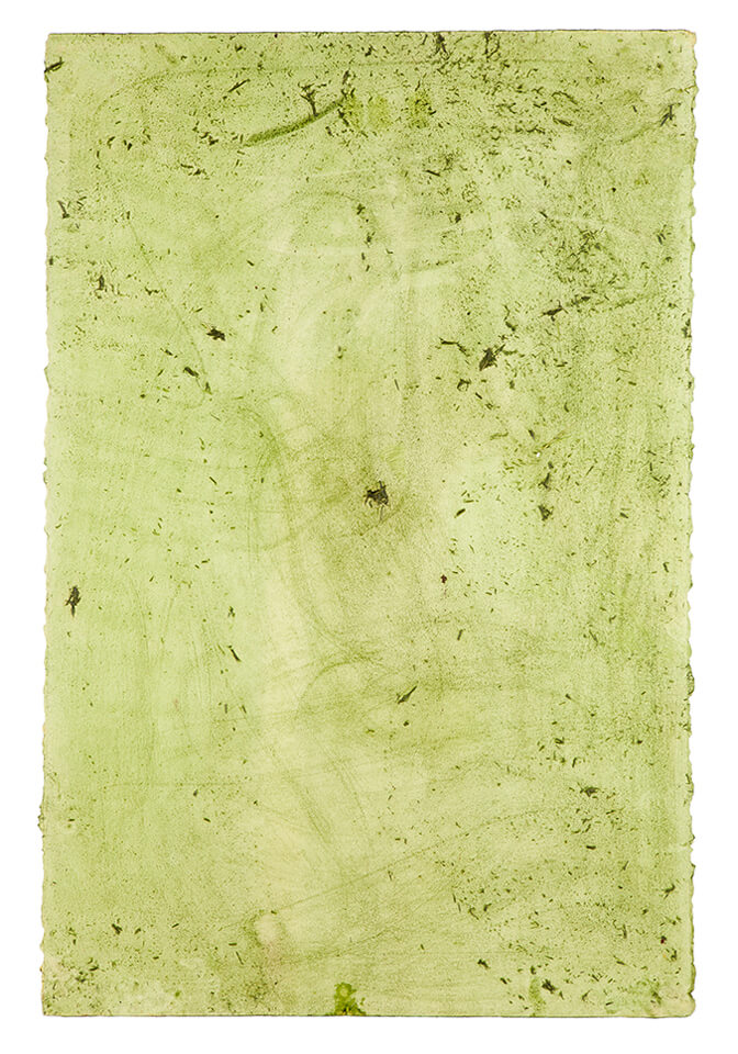 chontaduro papel 04.jpg